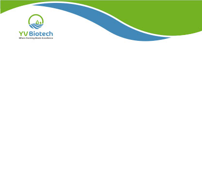 YV-Letterhead